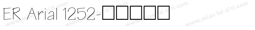 ER Arial 1252字体转换
